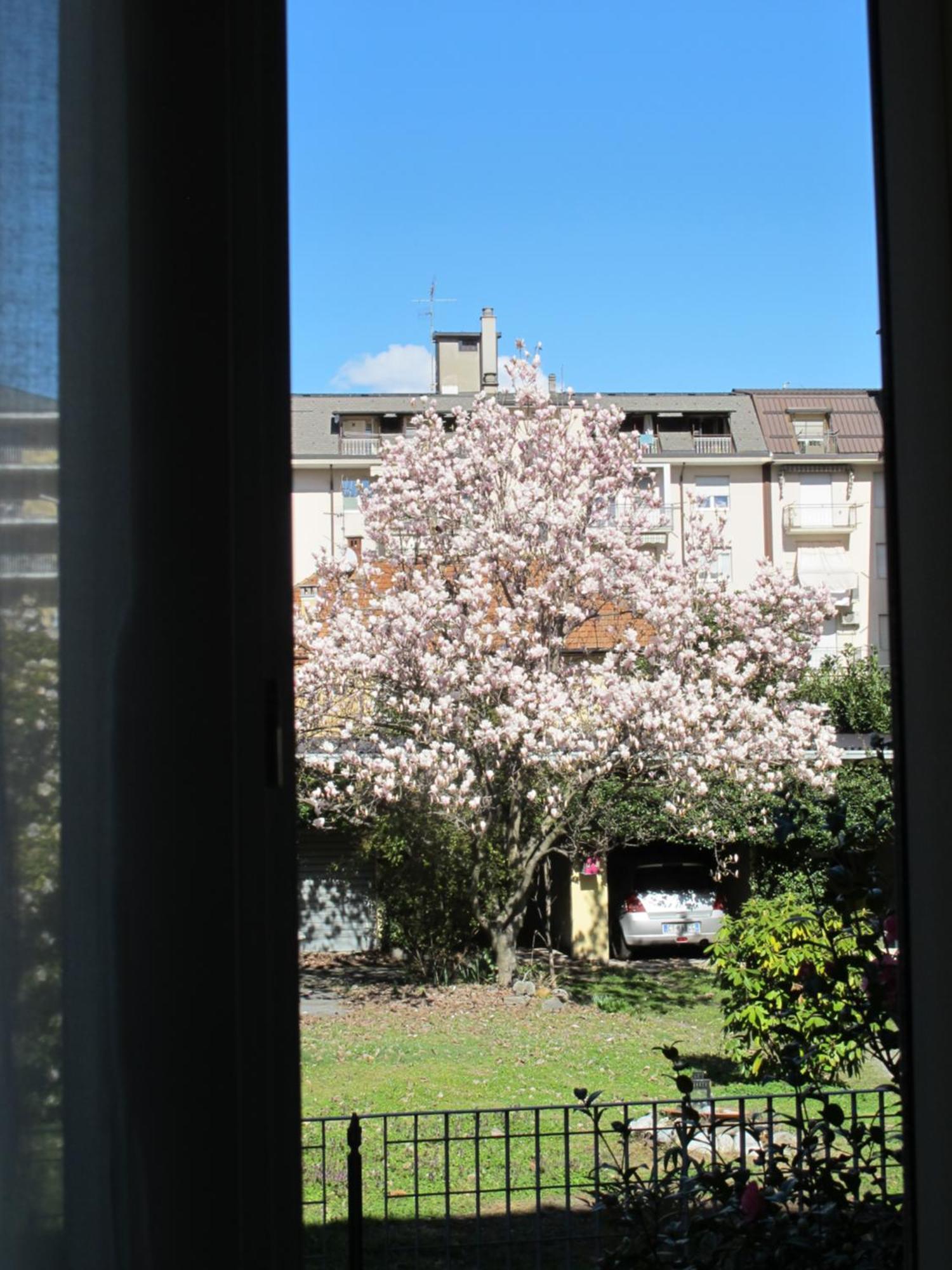 Domus Mea Daire Domodossola Dış mekan fotoğraf